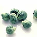Brussels Sprouts (Rosenkohl)